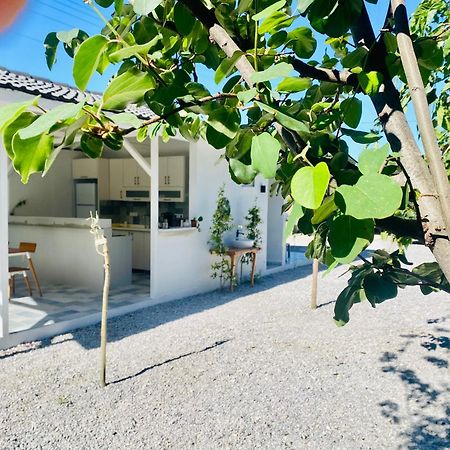 Airport Blue Eye Apartment Dalaman Best Location Also Suitable For Day Rentals Ideal For Air Travelers, 5 Km Close To Airport Exterior photo